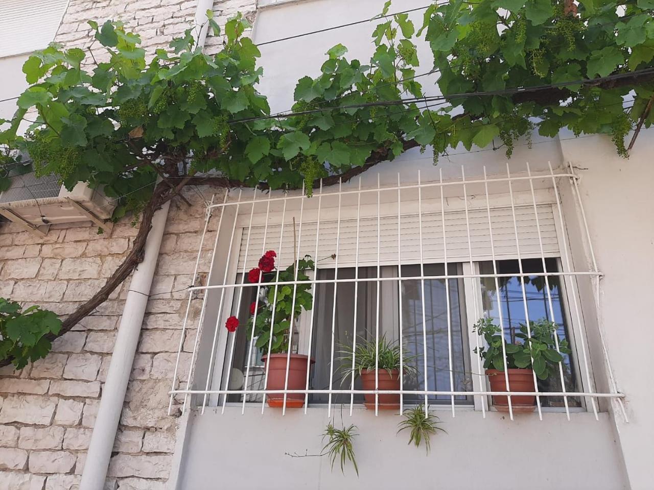 Sofia'S Modern Apartment Gjirokaster Exterior photo