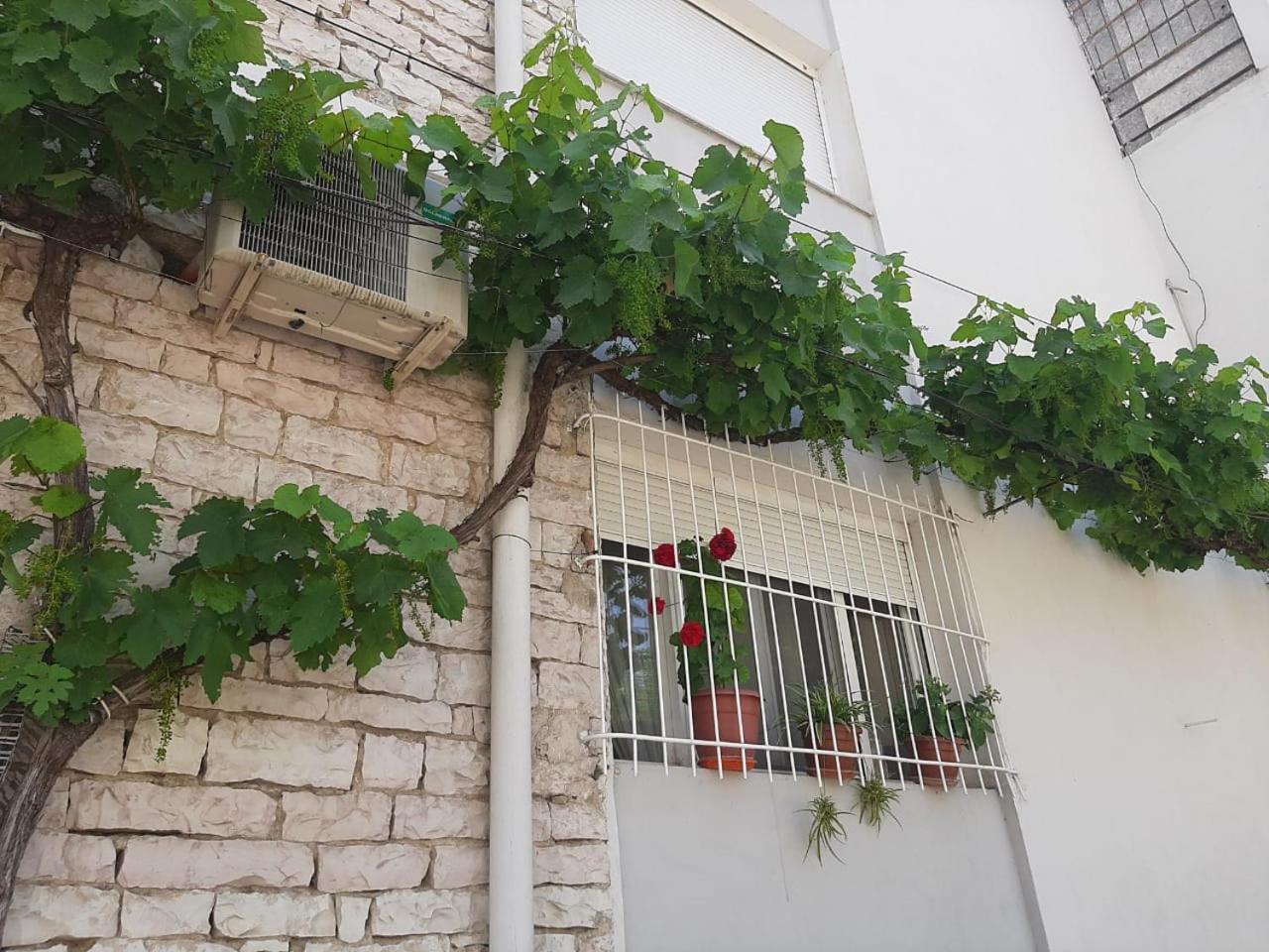 Sofia'S Modern Apartment Gjirokaster Exterior photo